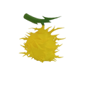 Goro Goro no Mi